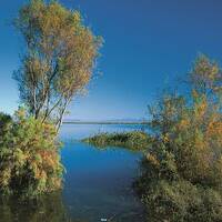 Alagol, Almagol and Ajigol Wetlands